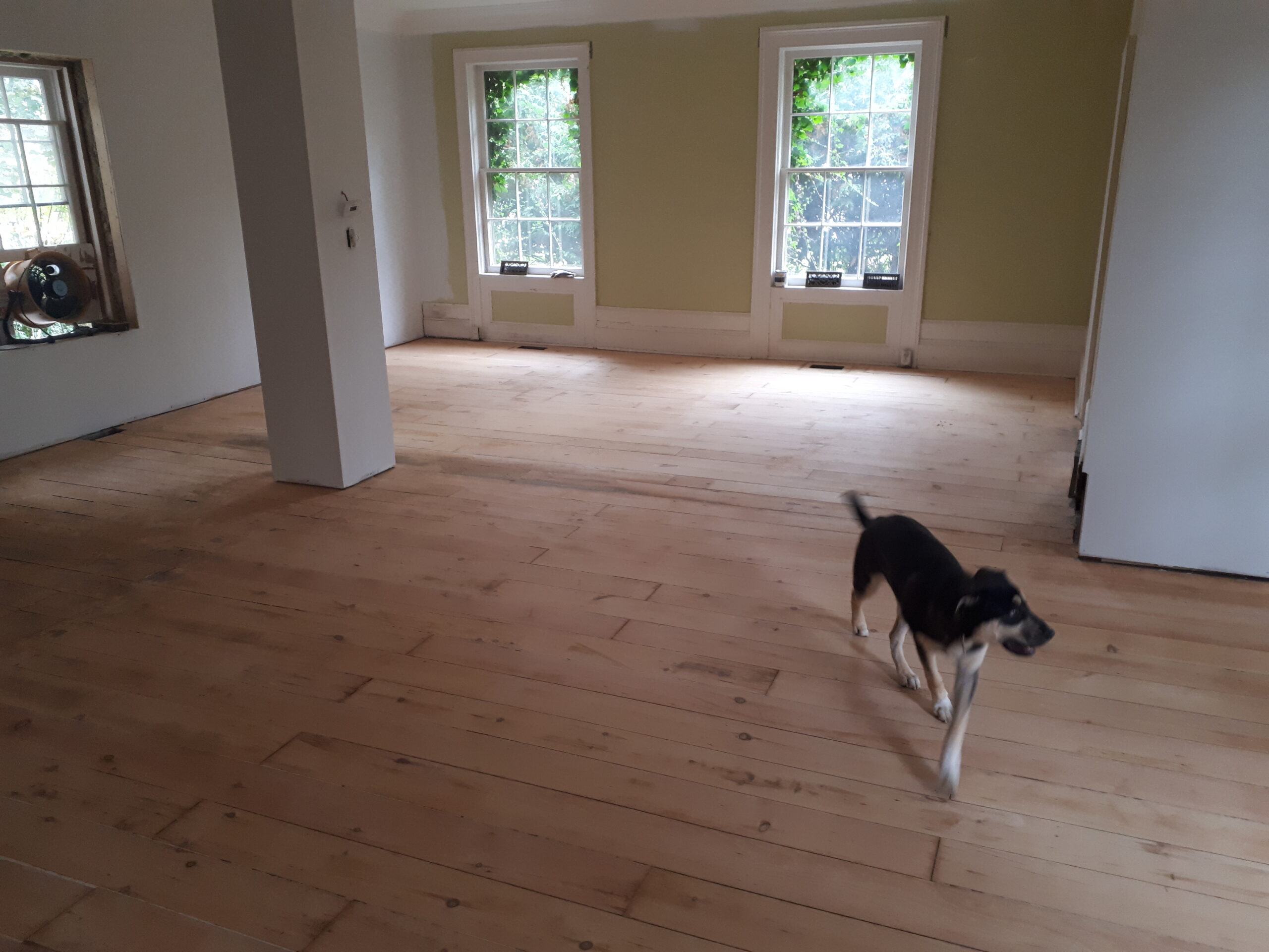 floor sanding refinishing